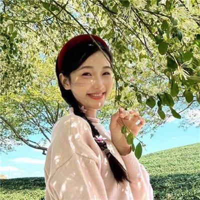 29片棕榈叶
